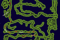 Map To Ness Map To Ness